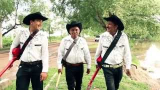 Los Compadres De Sinaloa VuelveRegresa Ya Dir Carlos Rodriguez [upl. by Park811]