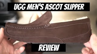 Is It The BEST Mens Slipper UGG Mens Ascot Slipper Review [upl. by Fransen489]