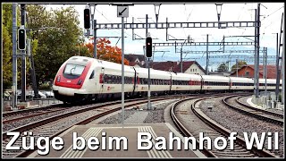 Zugsichtungen beim Bahnhof Wil  Kanton St Gallen  Schweiz 2024 [upl. by Aurilia]