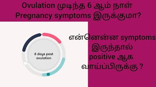 6 DPO Pregnancy Symptoms in Tamil  Pregnant or Not [upl. by Sturdivant849]