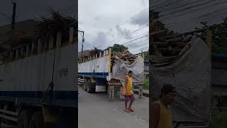 Trucks with nipa trending shortsvideo asmrtruck [upl. by Irelav]