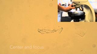 Earth Optics Video 1 Plane Polarized Light [upl. by Nay]