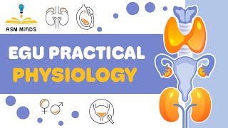 Physiology practical Urinary System [upl. by Leunammi]