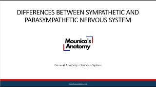 General Anatomy  Differences between Sympathetic and Parasympathetic Nervous System [upl. by Aynotal]