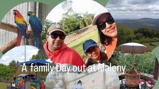 Vlog 7 ।Exploring Queensland  Live Experience at Melany Bird World🇦🇺🦜🦚🕊️youtube explore birds [upl. by Catton]