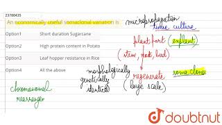 An economically useful somaclonal variation is [upl. by Rivi84]