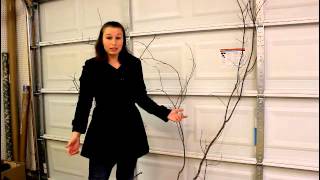 Lighted Tree Branch Tutorial [upl. by Lucina]