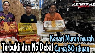 TERBUKTI MURAH  HARGA KENARI DI PUSAT KENARI SIDOARJO HARGA MULAI 50 RIBU [upl. by Eisac246]