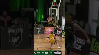 Ben Geel has CRAZY reach 👀 dunk basketball [upl. by Kcam300]