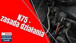 N75  zasada działania [upl. by Ecadnarb350]