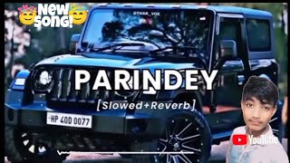 parindey best song 😇😇😇 slowedreverb parinday year sumitmaurya466 song viral 15k trading [upl. by Yreffej]