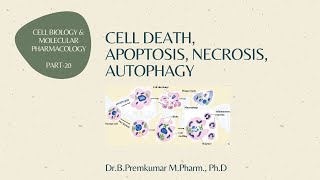 Cell death  Apoptosis Necrosis Autophagy  CBMP  Part20 [upl. by Brace]