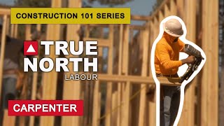 Carpentry  Understanding the Different Types of Carpentry Skills for Your Construction Project [upl. by Mame17]