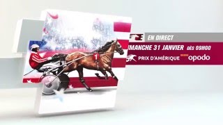 Prix dAmérique Opodo 2016 [upl. by Arleen]