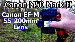 Canon M50 Mark II and Canon EFM 55200mm Lens Woodland Photography [upl. by Langley378]