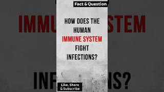 How does the human immune system fight infections healthtips immunesystem [upl. by Gretchen495]