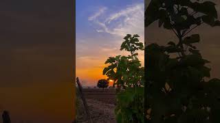 Nigahon mein dekho meri vo hai bas gaya whatsapp status lyrics song shortsviralshort sunset love [upl. by Brent]