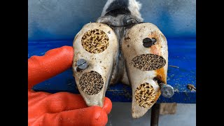 CARVING OUT a DEEP HOLE in this cows hoof [upl. by Yroc]