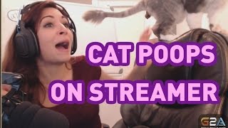 Cat poops on streamer WARNING POOP [upl. by Josler]