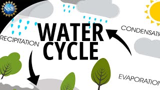 Water Cycle  How the Hydrologic Cycle Works [upl. by Ettenej933]