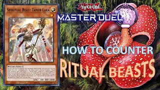 TRAPTRIX DECK 2024  ARMORED XYZ TIPS HOWTO COUNTER RITUAL BEASTS WITH MY DECK [upl. by Savior877]