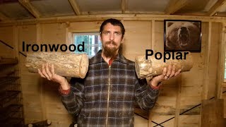 Hardwood vs Softwood [upl. by Girish]