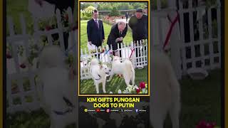 North Koreas Kim gives pair of dogs to Putin  WION Shorts [upl. by Allegna]