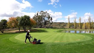 My 10 Week Old Putting Green Looks Pure  10mm Ryegrass Collar Mow [upl. by Saeger]