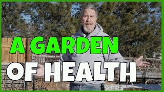 Start a Medicinal Herb Garden [upl. by Survance]