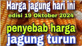 Harga jagung hari ini edisi 19 Oktober 2024petani muda 2putra [upl. by Lemert]