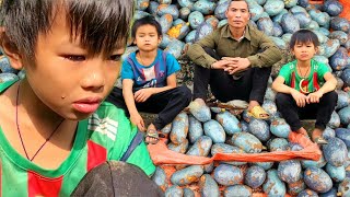 3 people picking fruit together in the deep forest forest fruit  orphansboysdailylife [upl. by Ientirb]