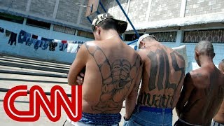 MS13 gang members Trump makes us stronger [upl. by Previdi]