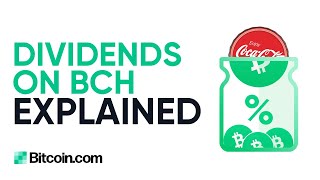 Dividends For Anonymous Bearer Shares Holders On BCH [upl. by Nnairret]