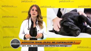 Köpeğim ishal oldu ne yapmalıyım [upl. by Lauber]