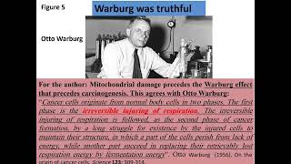 Biochemical origin of the Warburg effect – Video abstract ID 397593 [upl. by Rivers400]