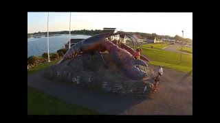 Shediac Lobster [upl. by Mycah]