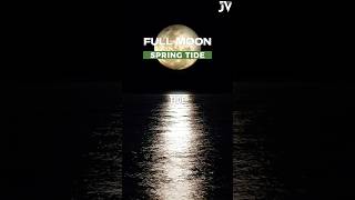 Full Moon Spring Tide FullMoon SpringTide RipTides JuelzVisuelz JuelzT [upl. by Sifan]