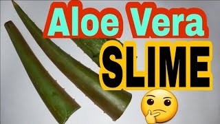 aloe vera slime in tamil  aloe vera slime making at home slime making without glue and boraxslime [upl. by Rengia]