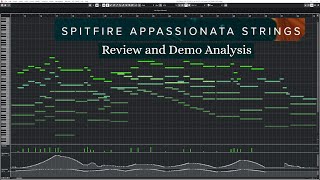 Spitfire Appassionata Strings Review and Demo Analysis [upl. by Eusassilem633]