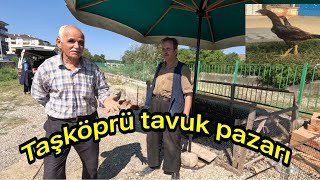 Kastamonu Taşköprü tavuk pazarı haftalık güncel fiyatlar [upl. by Magnuson474]