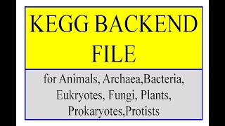 KEGG BACK END file backend file [upl. by Olumor]