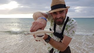 Shark Fishing  Cape Verde  Boa Vista [upl. by Ettennat]