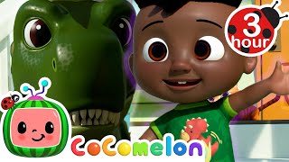 Take Care Of Your Pets  CoComelon  Codys Playtime  Songs for Kids amp Nursery Rhymes [upl. by Mundy]