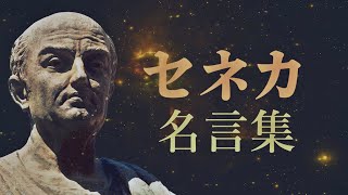 セネカ 名言集 【ローマ帝国の政治家】【哲学者】【詩人】 [upl. by Ilzel718]