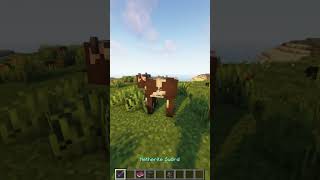 Boom Enchantment Minecraft Mod [upl. by Smiga]