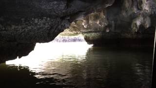 Langkawi Mangrove Tour Crocodile Cave [upl. by Nerta]