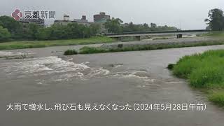 京都市左京区の「鴨川デルタ」も大雨で一変。飛び石はどこに？（2024年5月28日） [upl. by Eppesuig]