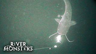 Wels Catfish ATTACKS camera underwater  River Monsters [upl. by Tacye]