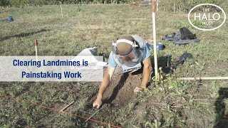 Clearing Landmines is Painstaking Work [upl. by Leacock987]