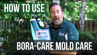 How to use BoraCare with Mold Care to treat wood [upl. by Letnohs272]